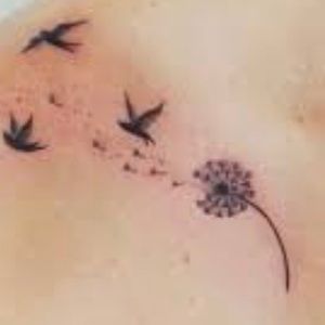 Meet your Posher, Karla